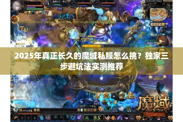 2025年真正长久的魔域私服怎么挑？独家三步避坑法实测推荐