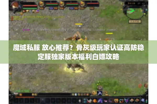 魔域私服 放心推荐？骨灰级玩家认证高防稳定服独家版本福利白嫖攻略