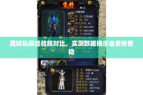 魔域私服经验服对比，实测数据揭示谁更快更稳