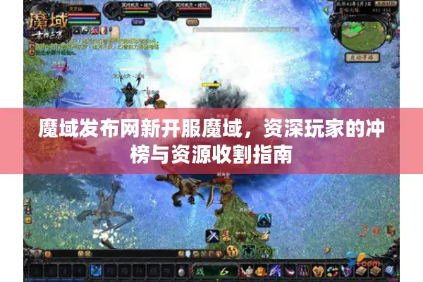 魔域发布网新开服魔域，资深玩家的冲榜与资源收割指南