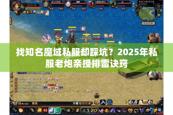 找知名魔域私服却踩坑？2025年私服老炮亲授排雷诀窍