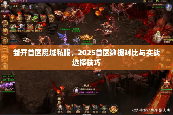 新开首区魔域私服，2025首区数据对比与实战选择技巧