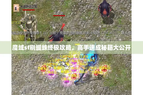 魔域sf刷蜘蛛终极攻略，高手速成秘籍大公开