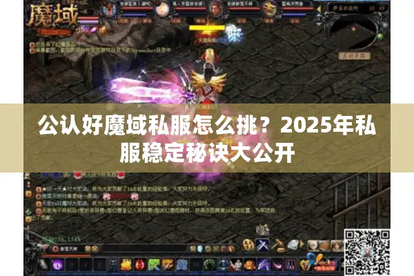 公认好魔域私服怎么挑？2025年私服稳定秘诀大公开