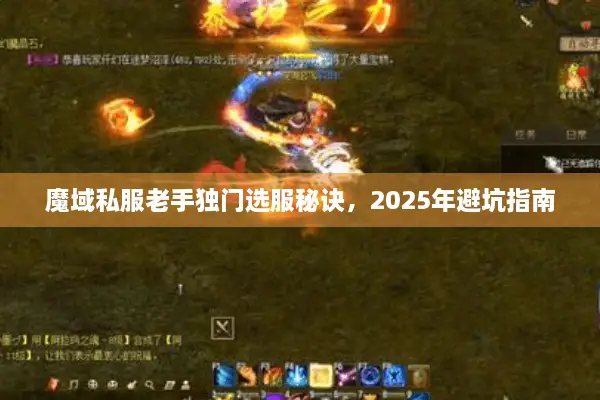 魔域私服老手独门选服秘诀，2025年避坑指南