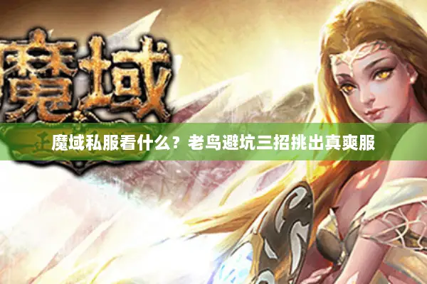 魔域私服看什么?老鸟避坑三招挑出真爽服 魔域私服看什么?老鸟避坑三招挑出真爽服