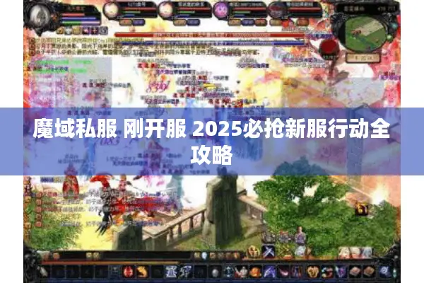 魔域私服 刚开服 2025必抢新服行动全攻略