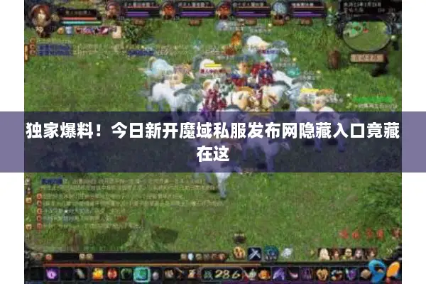 独家爆料！今日新开魔域私服发布网隐藏入口竟藏在这