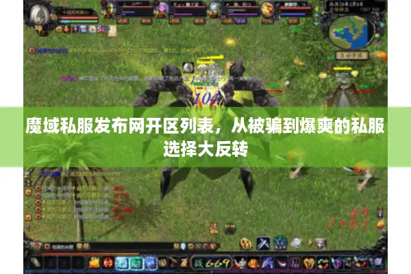 魔域私服发布网开区列表，从被骗到爆爽的私服选择大反转