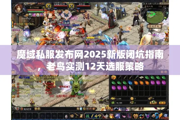 魔域私服发布网2025新版闭坑指南，老鸟实测12天选服策略