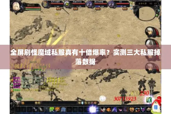 全屏刷怪魔域私服真有十倍爆率？实测三大私服掉落数据