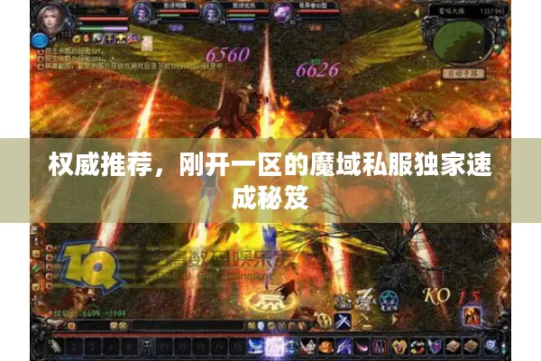 权威推荐，刚开一区的魔域私服独家速成秘笈