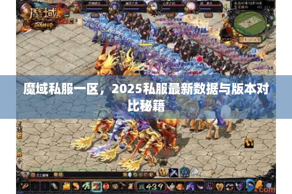 魔域私服一区，2025私服最新数据与版本对比秘籍