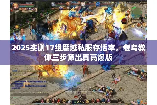 2025实测17组魔域私服存活率，老鸟教你三步筛出真高爆版