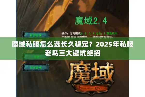魔域私服怎么选长久稳定？2025年私服老鸟三大避坑绝招
