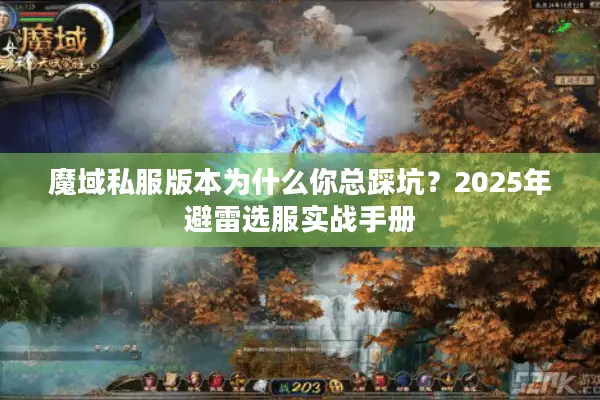 魔域私服版本为什么你总踩坑？2025年避雷选服实战手册