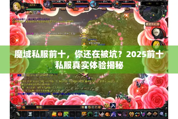 魔域私服前十，你还在被坑？2025前十私服真实体验揭秘