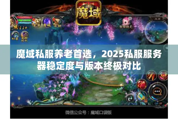 魔域私服养老首选，2025私服服务器稳定度与版本终极对比