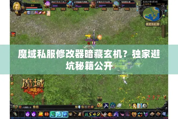 魔域私服修改器暗藏玄机？独家避坑秘籍公开