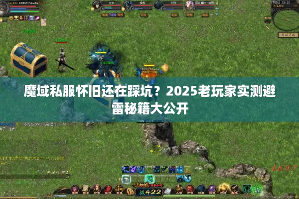 魔域私服怀旧还在踩坑？2025老玩家实测避雷秘籍大公开
