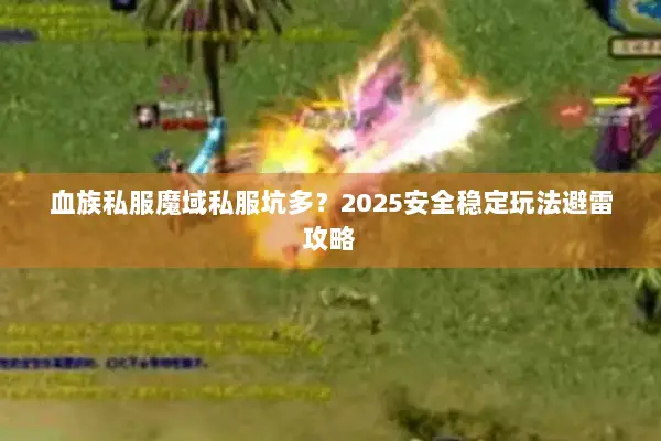 血族私服魔域私服坑多？2025安全稳定玩法避雷攻略