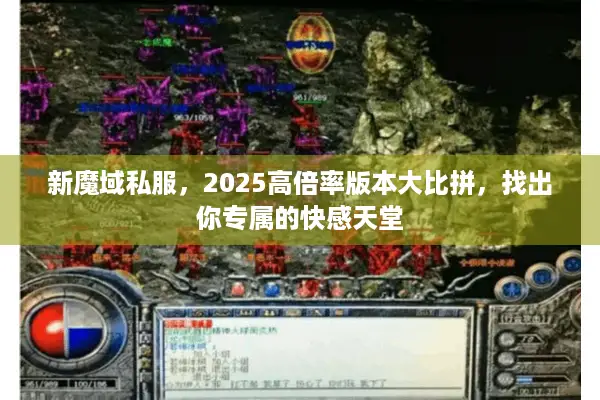 新魔域私服，2025高倍率版本大比拼，找出你专属的快感天堂