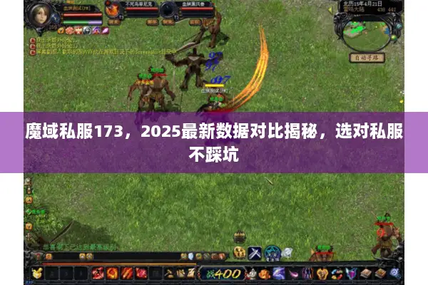 魔域私服173，2025最新数据对比揭秘，选对私服不踩坑
