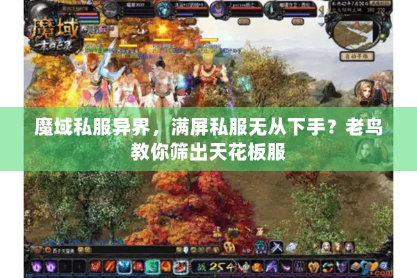 魔域私服异界，满屏私服无从下手？老鸟教你筛出天花板服