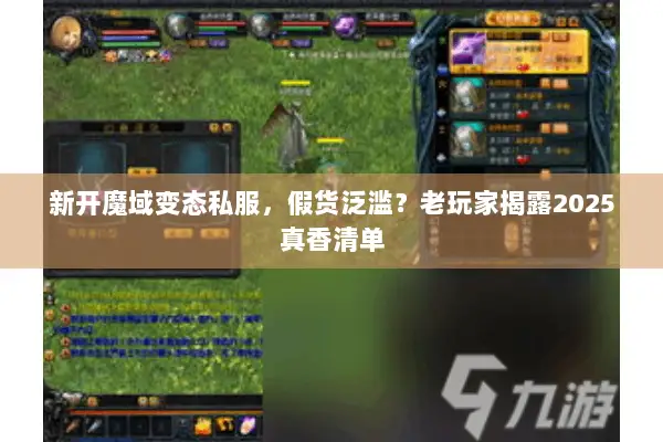 新开魔域变态私服，假货泛滥？老玩家揭露2025真香清单