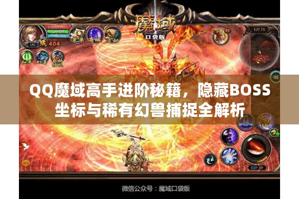 QQ魔域高手进阶秘籍，隐藏BOSS坐标与稀有幻兽捕捉全解析