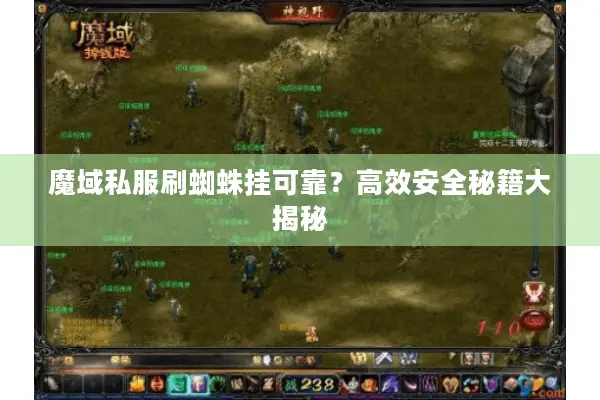 魔域私服刷蜘蛛挂可靠？高效安全秘籍大揭秘