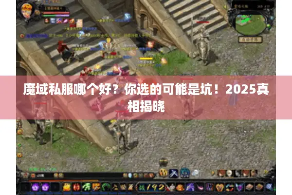 魔域私服哪个好？你选的可能是坑！2025真相揭晓