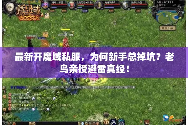 最新开魔域私服，为何新手总掉坑？老鸟亲授避雷真经！