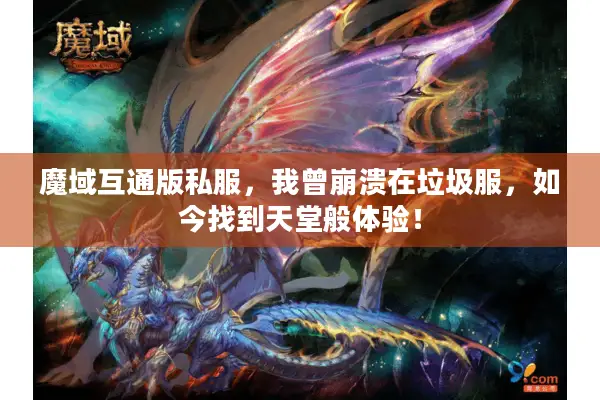 魔域互通版私服,我曾崩溃在垃圾服,如今找到天堂般体验! 魔域互通版私服,我曾崩溃在垃圾服,如今找到天堂般体验!