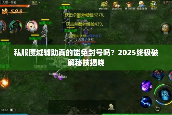 私服魔域辅助真的能免封号吗？2025终极破解秘技揭晓