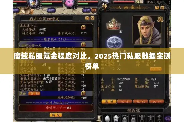 魔域私服氪金程度对比，2025热门私服数据实测榜单
