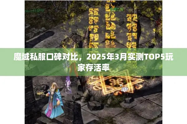 魔域私服口碑对比，2025年3月实测TOP5玩家存活率