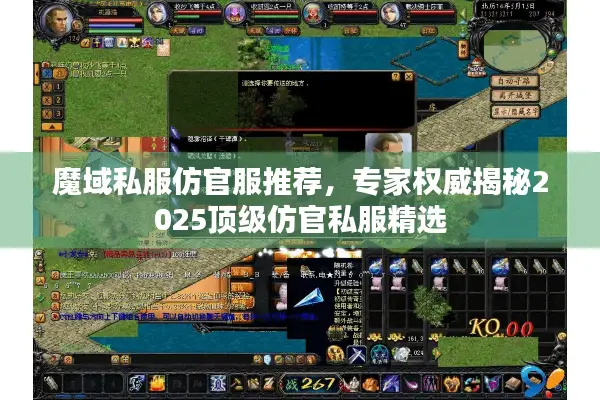 魔域私服仿官服推荐，专家权威揭秘2025顶级仿官私服精选