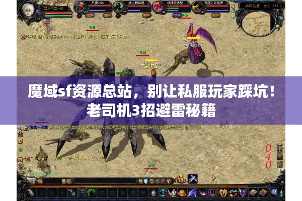 魔域sf资源总站，别让私服玩家踩坑！老司机3招避雷秘籍