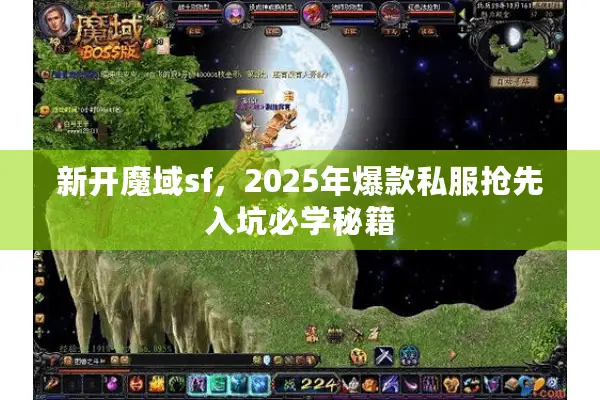新开魔域sf，2025年爆款私服抢先入坑必学秘籍
