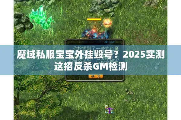 魔域私服宝宝外挂毁号？2025实测这招反杀GM检测