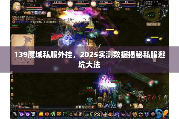 139魔域私服外挂，2025实测数据揭秘私服避坑大法