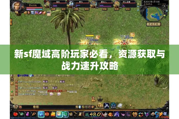 新sf魔域高阶玩家必看，资源获取与战力速升攻略