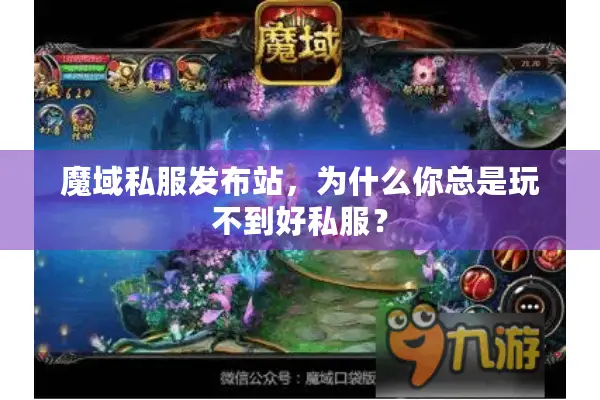 魔域私服发布站,为什么你总是玩不到好私服? 魔域私服发布站,为什么你总是玩不到好私服?