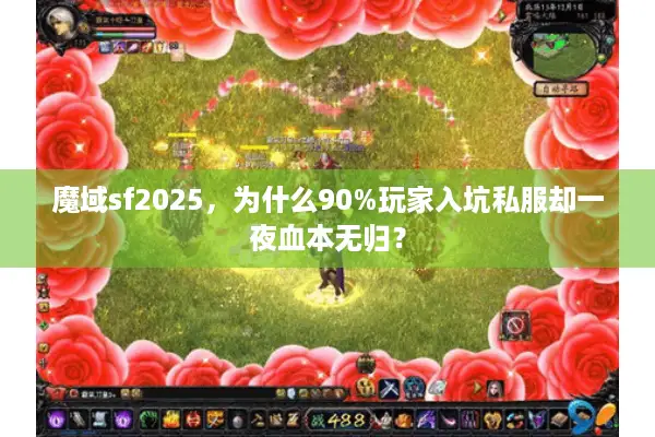 魔域sf2025，为什么90%玩家入坑私服却一夜血本无归？