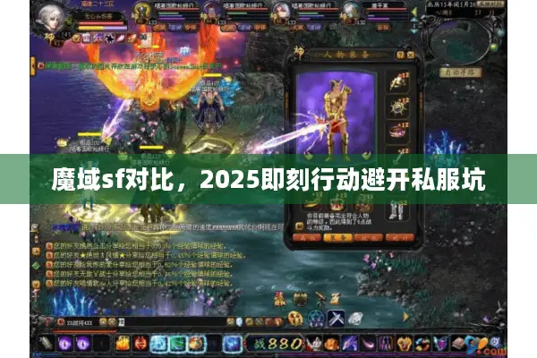 魔域sf对比，2025即刻行动避开私服坑