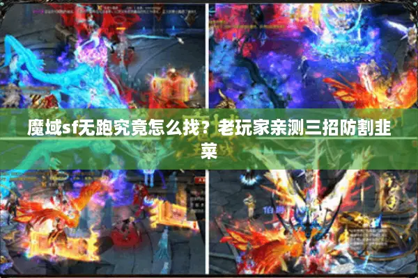 魔域sf无跑究竟怎么找？老玩家亲测三招防割韭菜