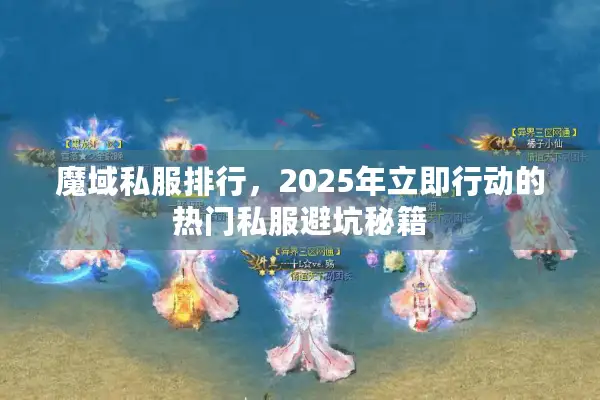 魔域私服排行，2025年立即行动的热门私服避坑秘籍