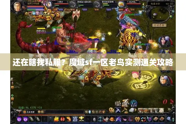 还在瞎找私服？魔域sf一区老鸟实测通关攻略