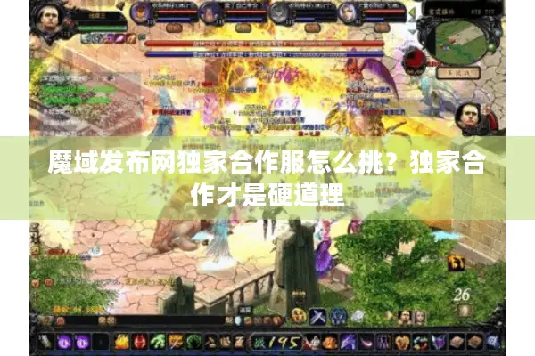 魔域发布网独家合作服怎么挑？独家合作才是硬道理